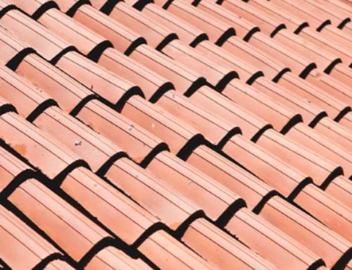 A Guide to Roof Maintenance: Preserving Your New Investment